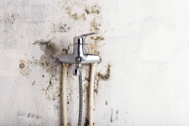Best Industrial Mold Remediation in Humboldt, KS