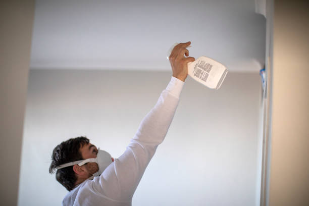 Best Black Mold Remediation in Humboldt, KS