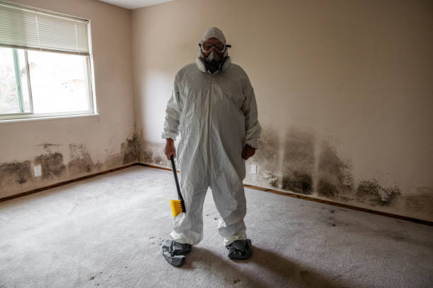 Best HVAC Mold Remediation in Humboldt, KS